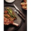 Tramontina 12 Piece Fork & Knife Barbecue/Braai Set  HOMZY  21199/909
