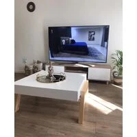 The Modernist Coffee Table  HOMZY  S01