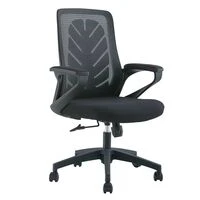 Aurora Office Chair  HOMZY  GOF0017