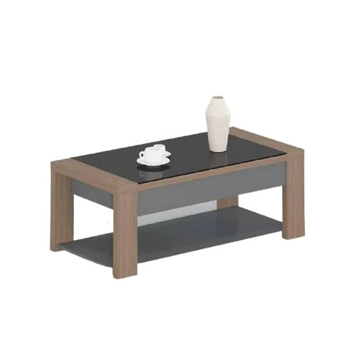 Clifton Coffee Table  HOMZY  GOF0092
