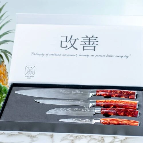Japanese Soshida Chef Knife Set - Red  HOMZY  H69-REDPRO4-10-22