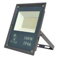 FLG 100W Slim SMD LED Flood Light for Outdoor  HOMZY  DL0044